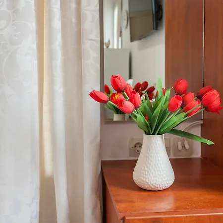 Apartment Porto Orion Studios *